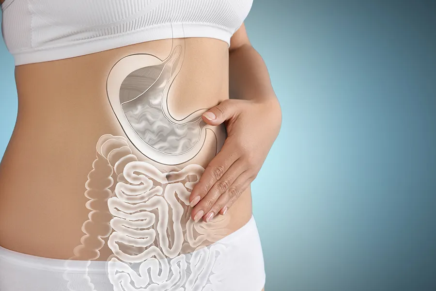 Newfoundland-Gut-Health-Doctor